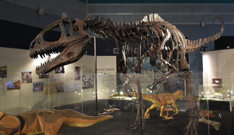 DinoQuest. Photo: Science Centre Singapore