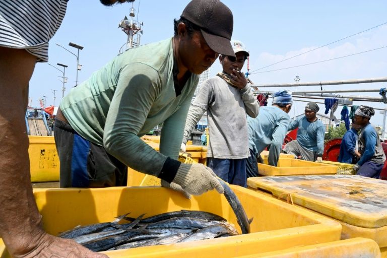 This picture taken on May 5, 2019 shows Indonesian fishermen unloading their catch at the port in Jakarta. The global fishing industry is riddled with forced labour, anti-trafficking experts say, warning that consumers are unaware of the “true cost” of the seafood they buy in stores and restaurants. Photo:
GOH Chai Hin / AFP