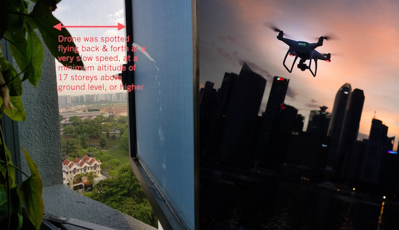 Photos: Amelia Yeo/Facebook & Goh Rhy Yan/Unsplash