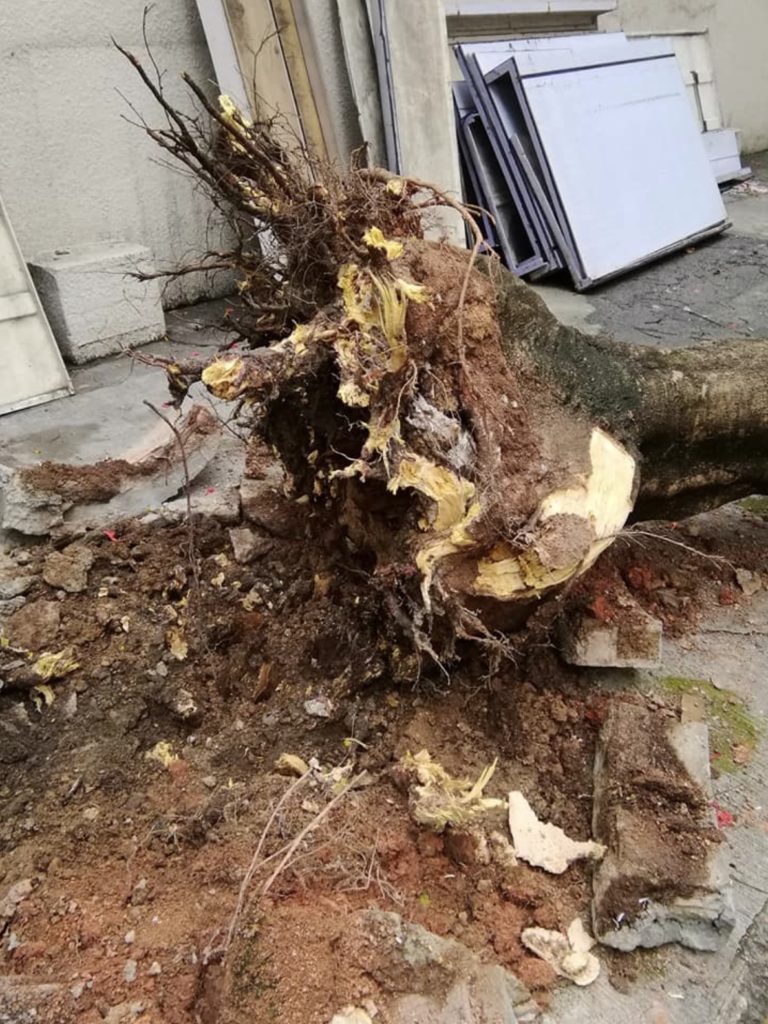 Photo via Facebook/Morris Cheung.