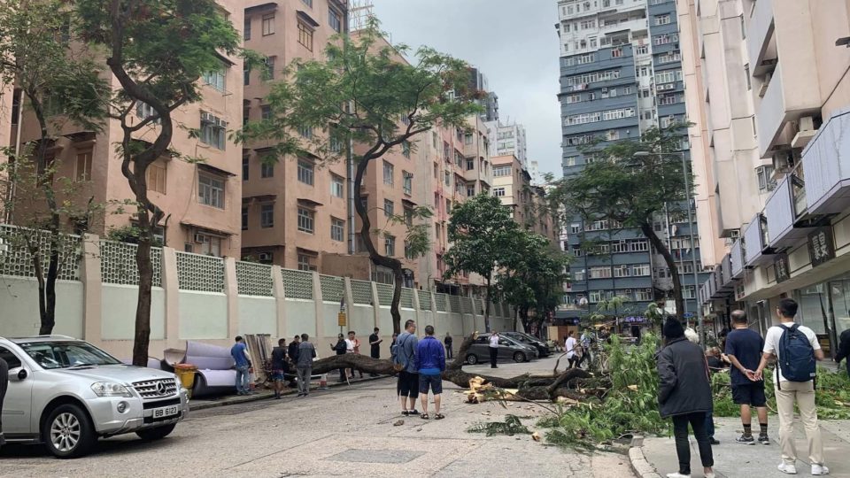 Photo via Facebook/Love Hung Hom.