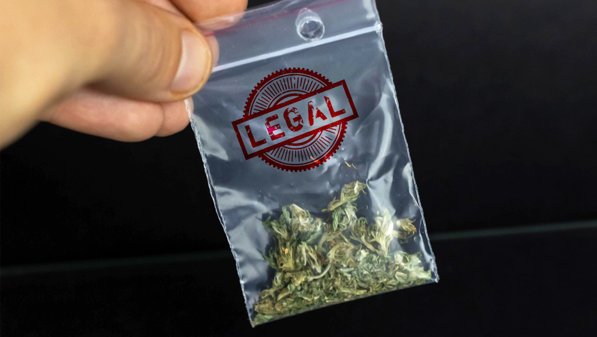 An artist’s interpretation of some legal cannabis. Original photo: Marco Verch/ Flickr