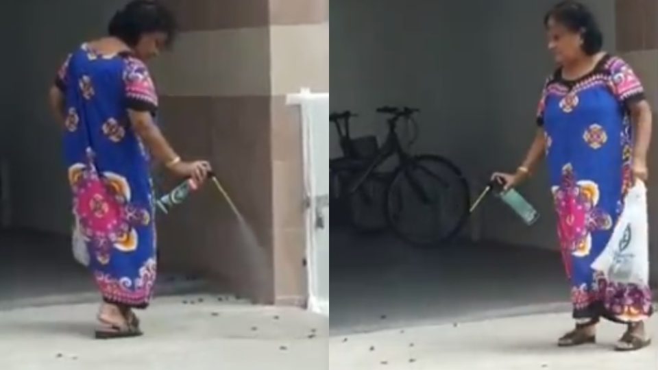 Photo: All Singapore Stuff/Facebook 