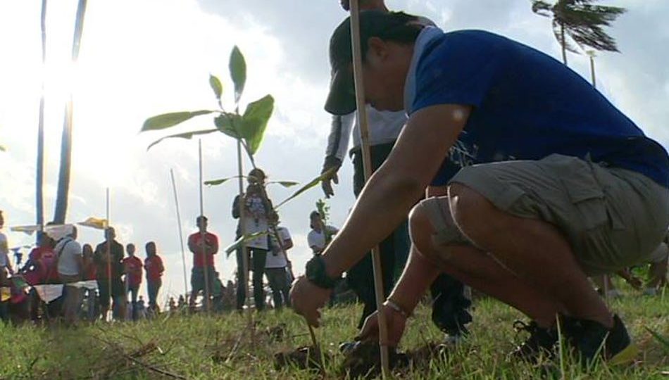 A tree-planting activity in Palawan. Photo: Cherry Camacho/ABS-CBN News