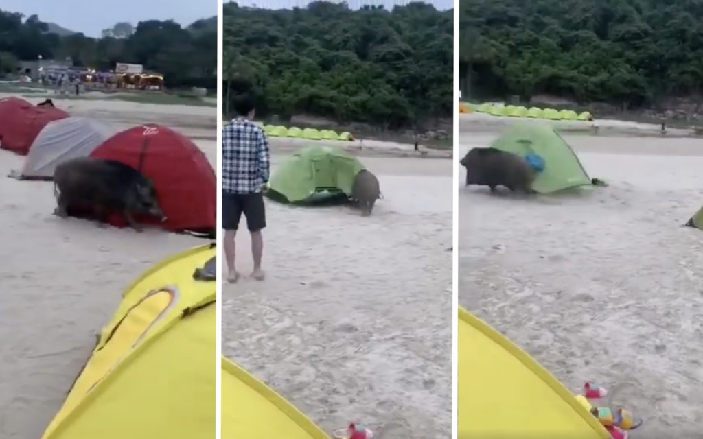 Screengrab via Facebook video.