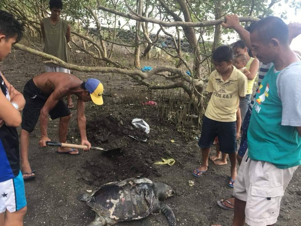 Photo: Purok Daisy President Arvin Alvarez via Barangay Poblacion Captain Bill Kratzer. 