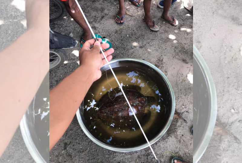 Photo: Haron Deo Vargas/FB. 