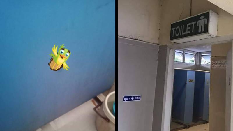 A little bird on the loose at Chaiyaphum Bus Terminal. Photo: Thailand Report News/ Facebook