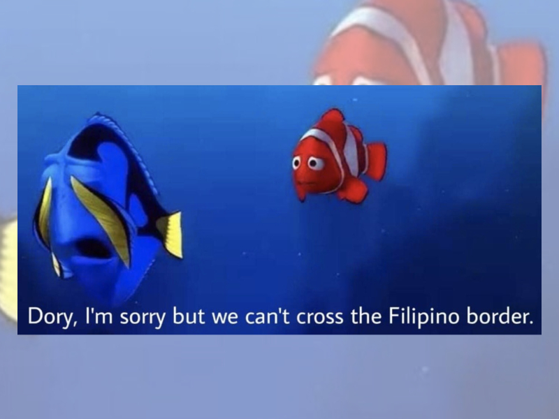 Several killer whales spotted in the gulf this past weekend. Photo: Thai Government Public Relations Department 