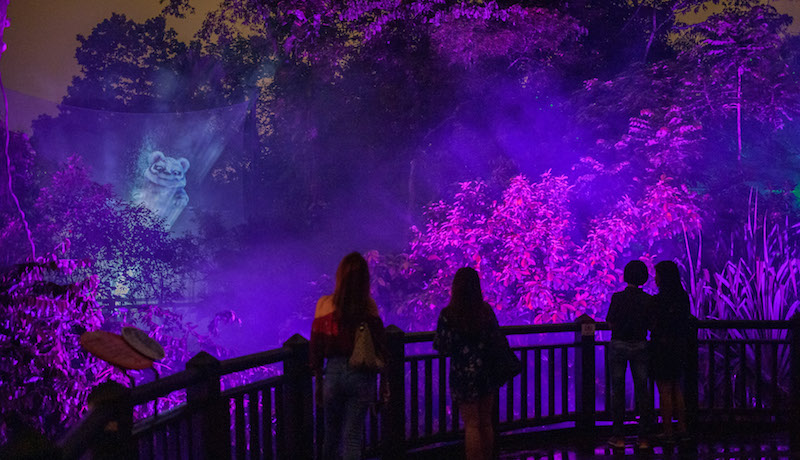 Rainforest Lumina. Photo: Wildlife Reserves Singapore