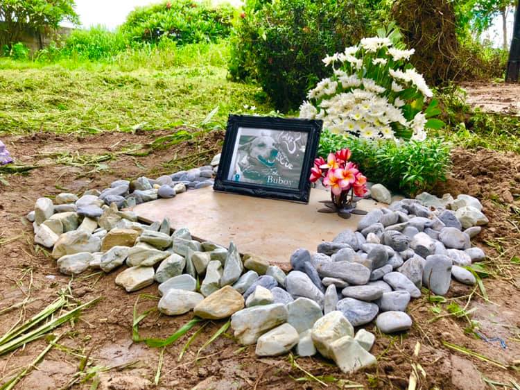 BYE, DOGGO 'PH's Hachiko' buried in Tarlac pet cemetery Coconuts