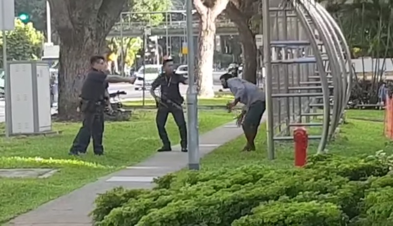 Screengrab from video