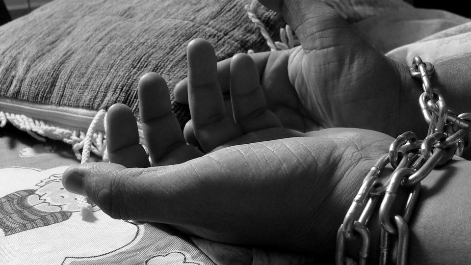 Photo Illustration via Pixabay.