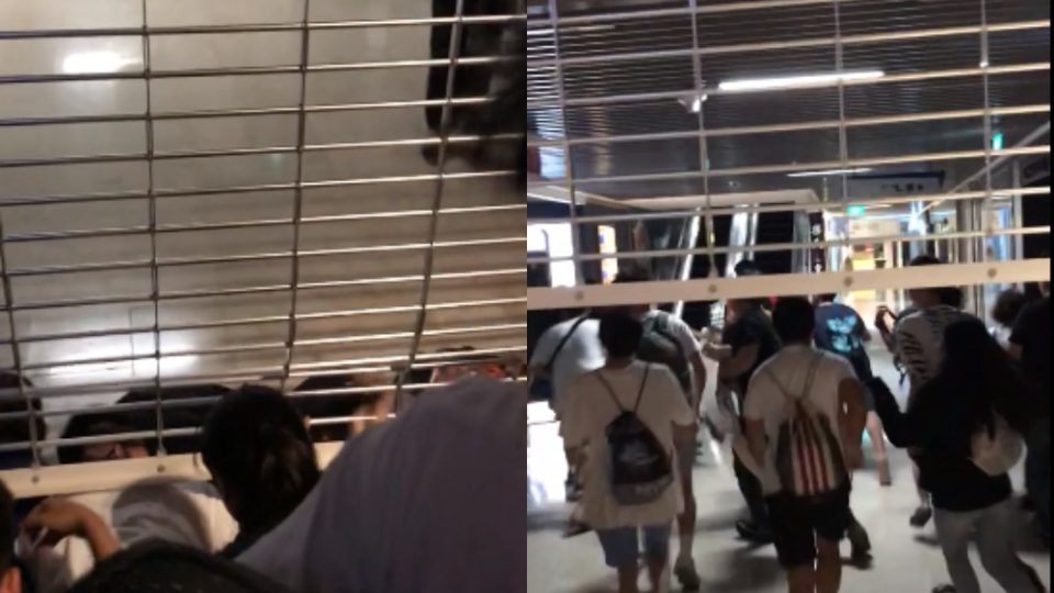 Photos: Redditor LeWilmon/Reddit