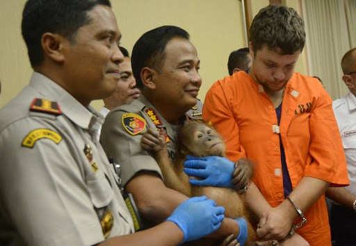 Andrei Zhestkov (R) of Russia stands near a police officer holding an orangutan during a press conference on March 25, 2019, at Ngurah Rai International Airport. (Photo: Sonny Tumbelaka / AFP) 