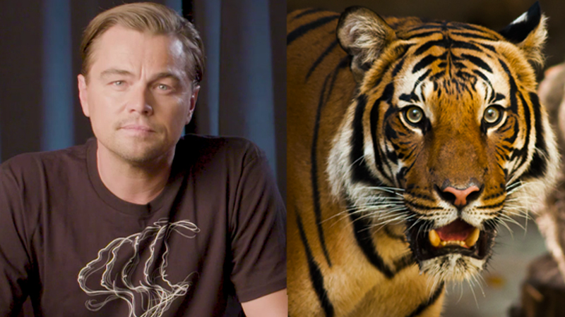 Image: Leonardo DiCaprio/ Facebook and Jessica Weiller.