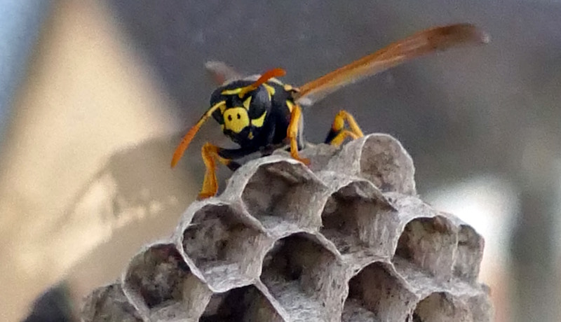 Photo for illustration: Birgit Lengert/Unsplash