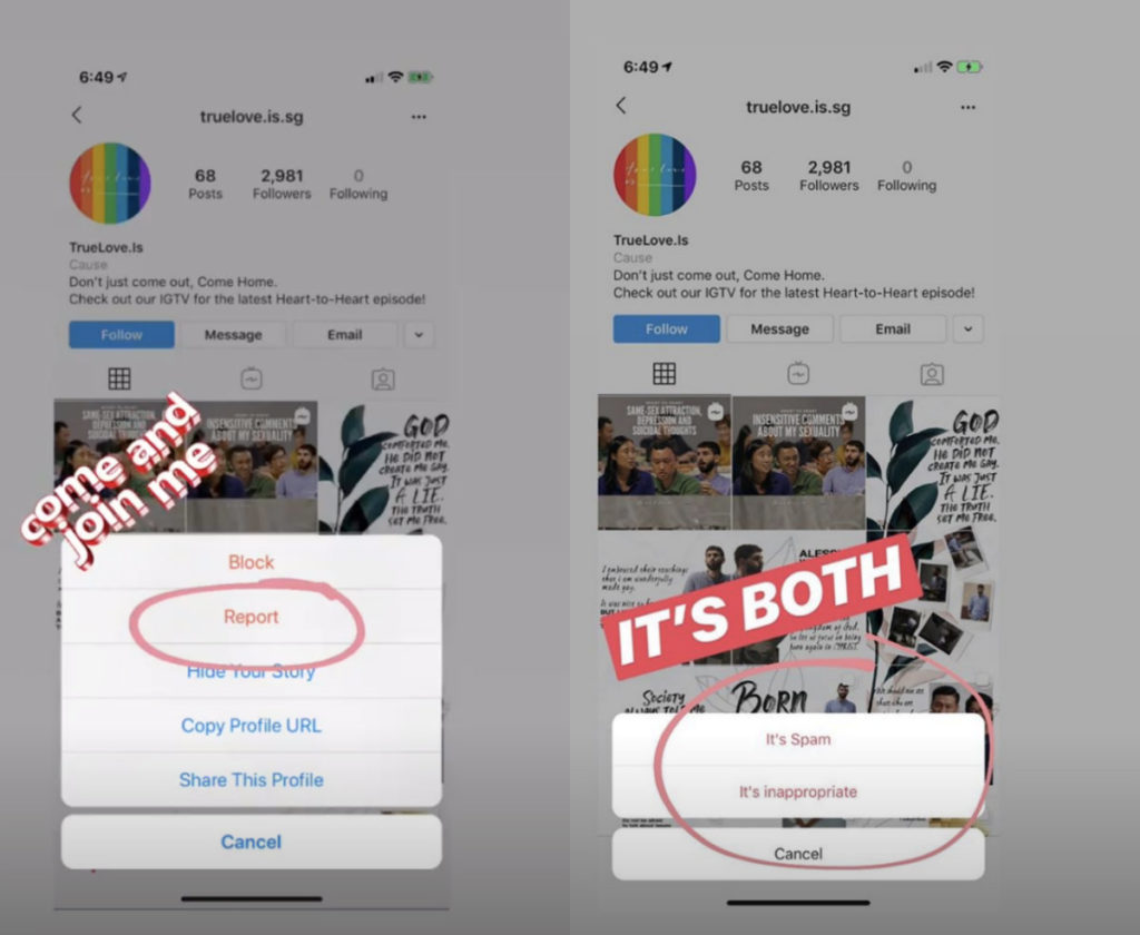Screenshots of Instagram stories asking others to report the TrueLove.Is account. (Photos: Instagram/@messiahabalos)