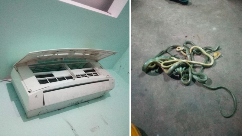 This air-conditioning unit harbored five snakes unit Monday night, when they discovered, evicted and apparently slaughtered. Photos: Somkiet Pawarasook Deang Kangtung / Facebook