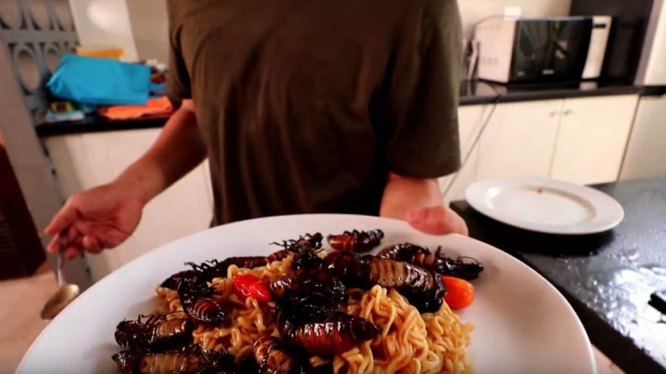 An Indonesian Youtuber named Bobon Santoso recently made a video that became a viral hit, in which he added cockroaches into his plate of Indomie Goreng. Screenshot from Youtube/The Santoso