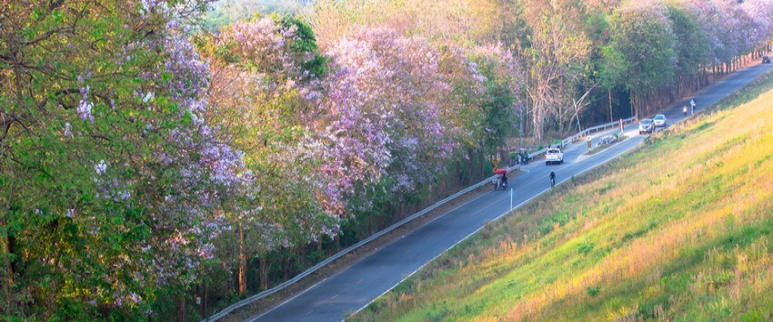 Photo: Tourism and Sports Office, Chonburi Province 