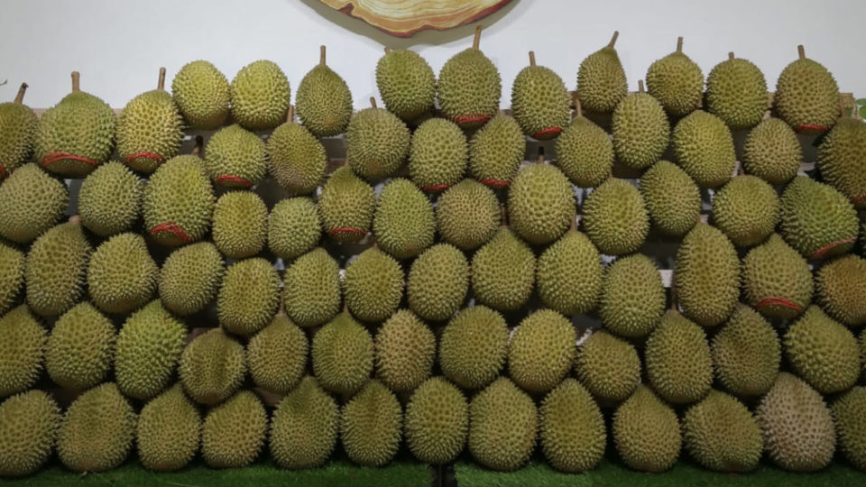 Photo of durians at Yi Liu Ji Durian. (Photo: Yi Liu Ji Durian/fb)