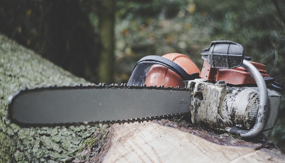 Chainsaw. <i>Photo: Pixabay</i>