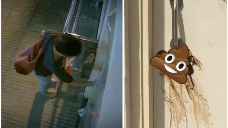 A woman appears to smear feces on the door of a local politician in the New Territories early Wednesday morning. Screengrabs via Apple Daily video.