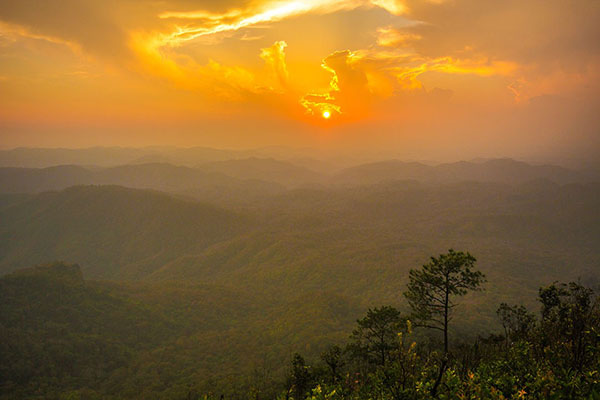 Doi Chong National Park. Photo: National Parks, Wildlife and Plant Conservation Department