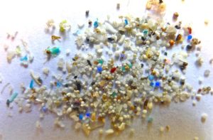 Examples of Microplastics. Photo: Oregon State University / Flickr