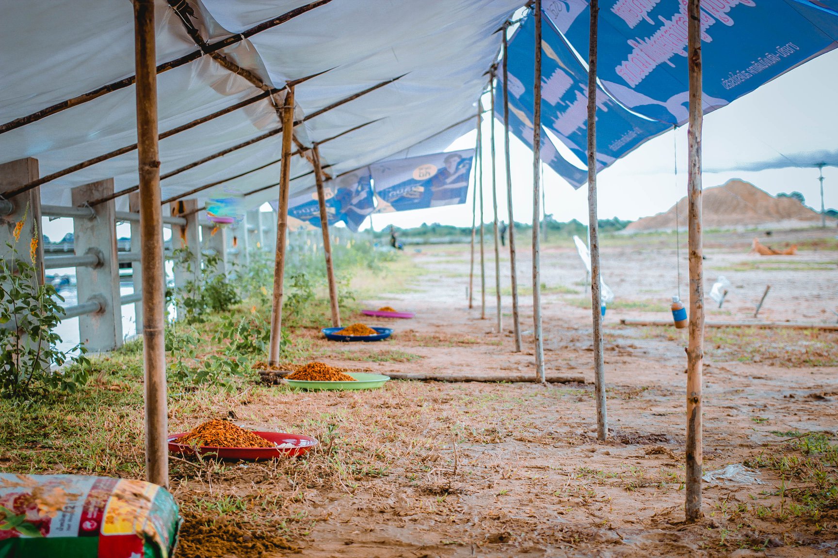 Photo: Sitthichai Ekkapan / Facebook