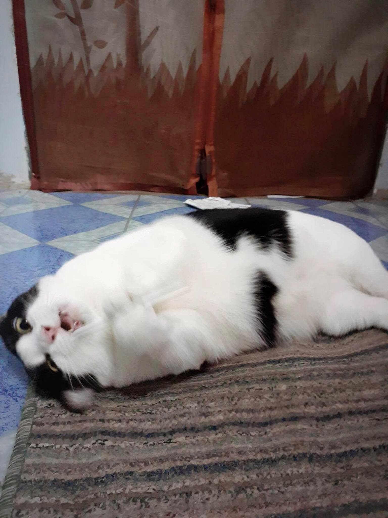 Photo: Pim Kleawthanonk / Courtesy