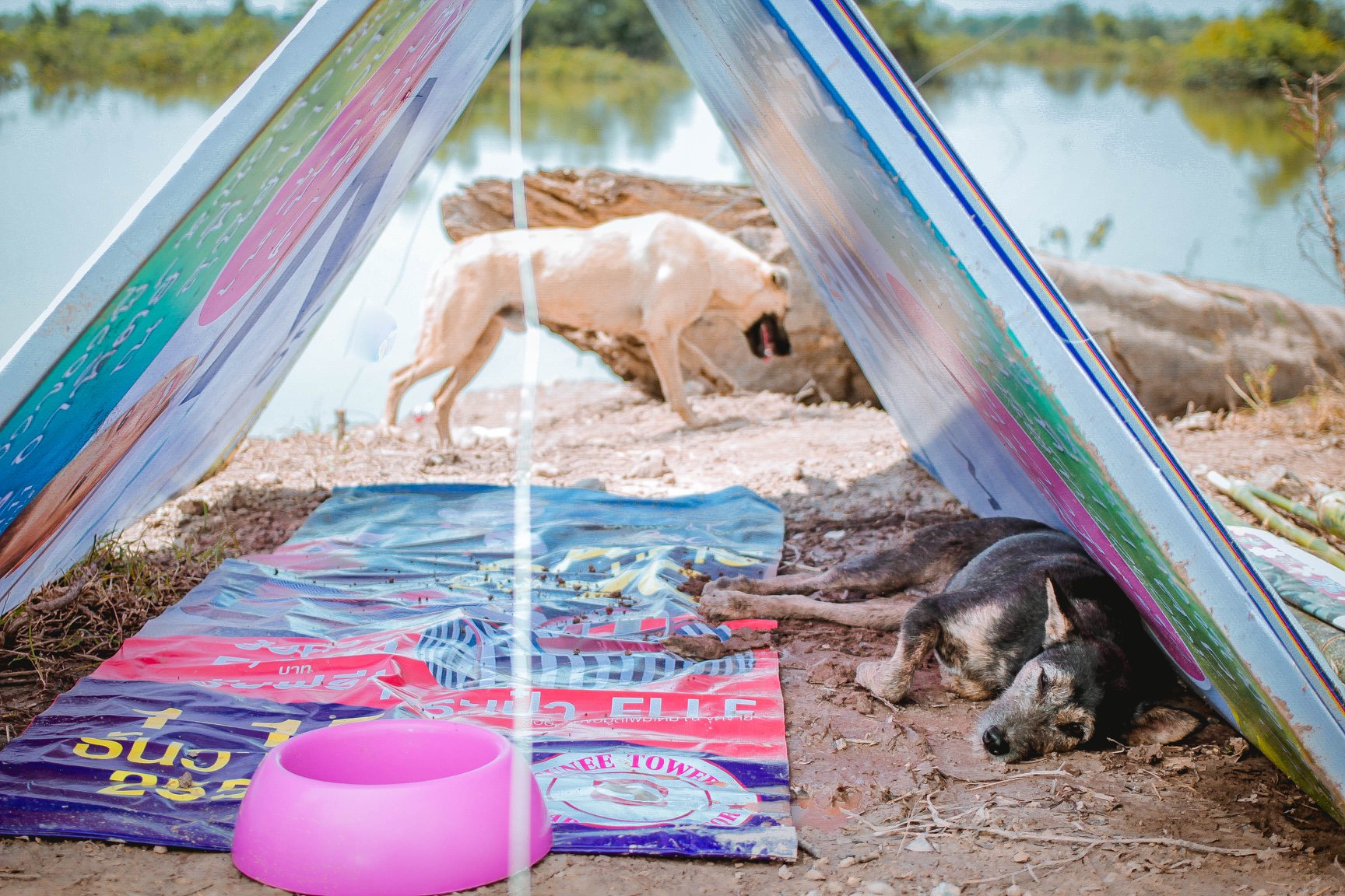 Photo: Sitthichai Ekkapan / Facebook