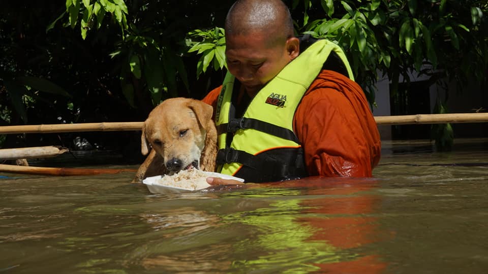 Phra Tong Kattapunyo / Facebook