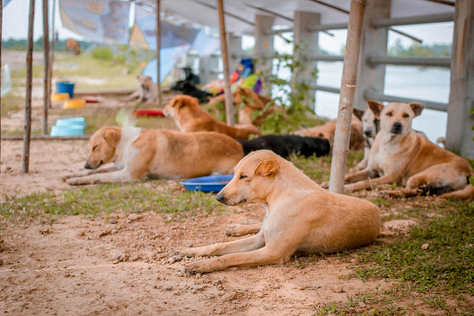 Photo: Sitthichai Ekkapan / Facebook