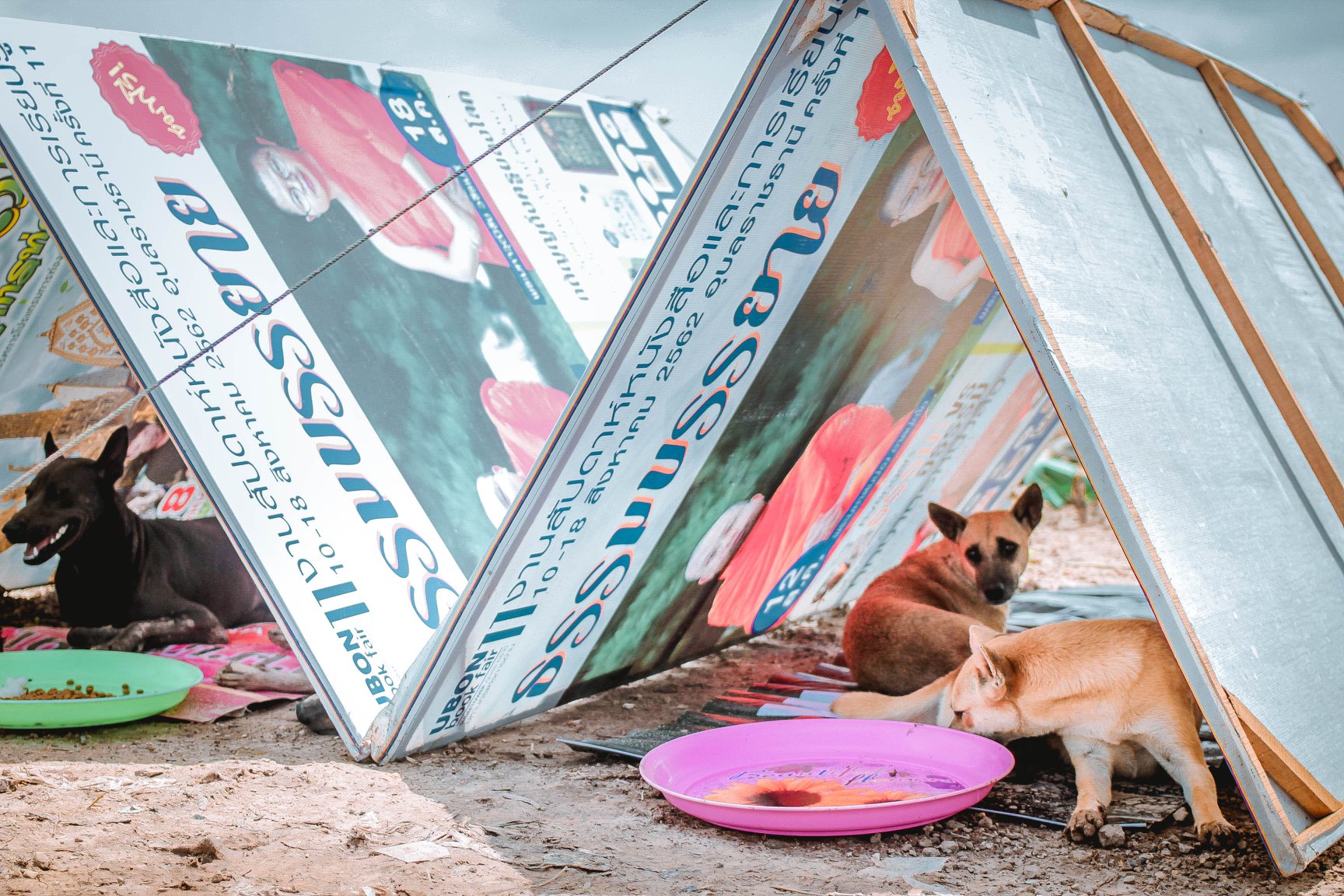 Photo: Sitthichai Ekkapan / Facebook