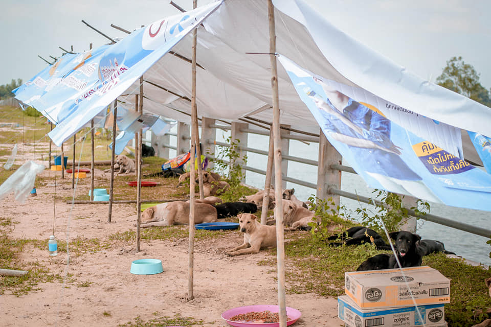 Photo: Sitthichai Ekkapan / Facebook