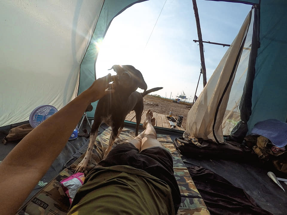 A furry creature greeting a resting Sitthichai. Photo: Sitthichai Ekkapan / Facebook