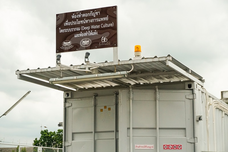 A shipping container repurposed as a grow room behind the Chaophraya Abhaibhubejhr Hospital in Prachinburi city. Photo: Coconuts Bangkok