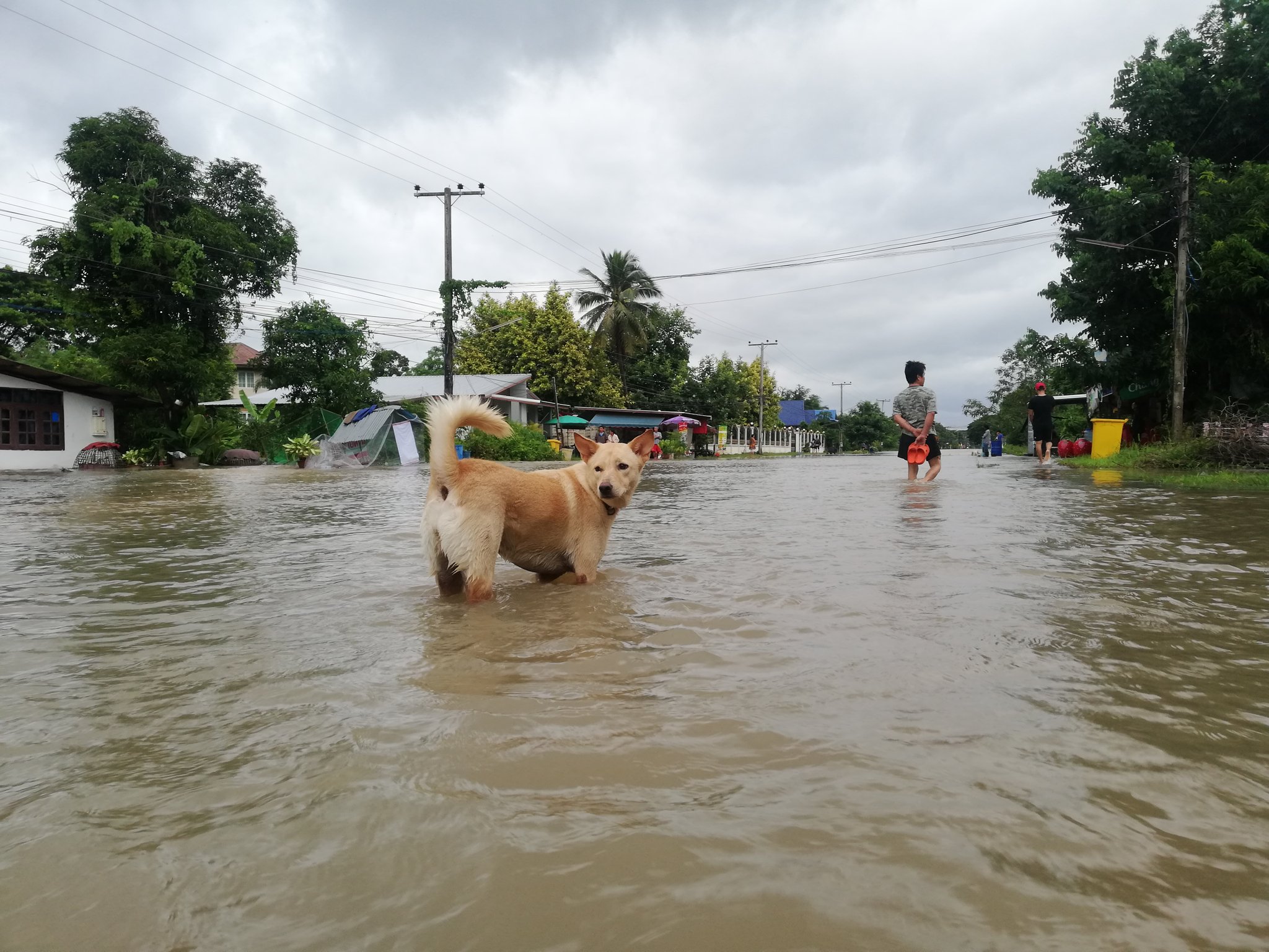 Panaporn neighborhood on Saturday. Photo: @cherry_bb1 / Twitter