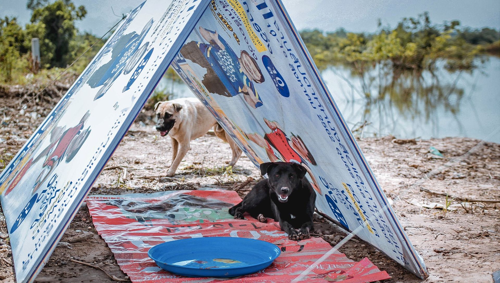 Photo: Sitthichai Ekkapan / Facebook

