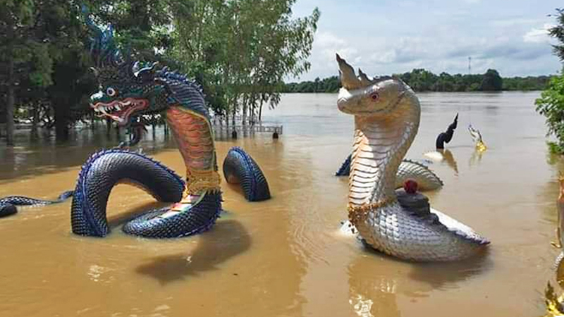 Photo: Bank14163166 / Twitter