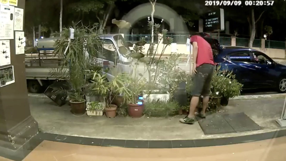 Screenshot of a video showing a man attempting to steal plants in Geylang. Taken from District Singapore’s Facebook page.