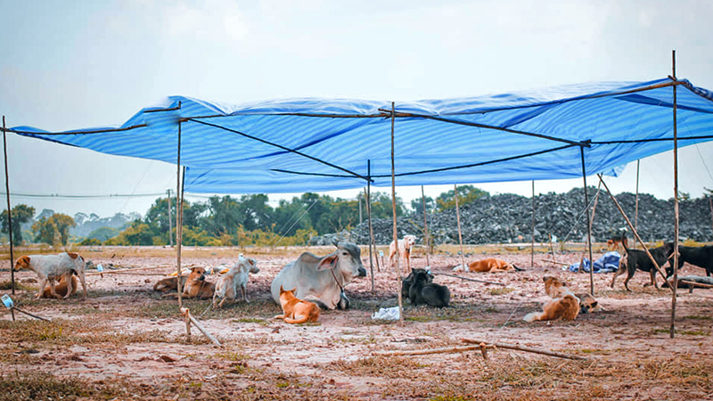 Photo: Sitthichai Ekkapan / Facebook