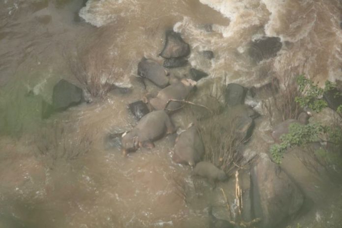 Photo: Khao Yai National Park