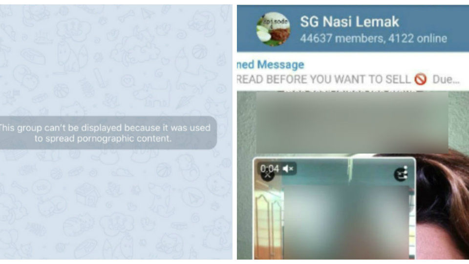 At left, the now-inaccessible SG Nasi Lemak Telegram channel. At right, the Telegram channel when it had more than 40,000 members. 