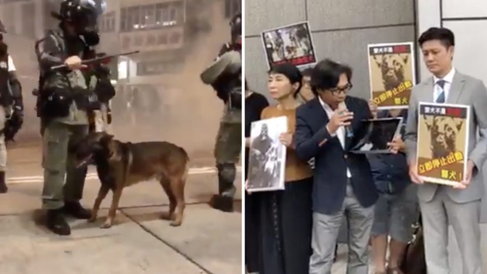 Animal rights activists file a complaint to the Hong Kong police after a police dog was seen unprotected in Yuen Long walking through clouds of tear gas during a dispersal operation. Screengrabs via YouTube and Facebook.