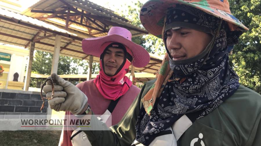 The twins with the snake. Photo: Workpoint News