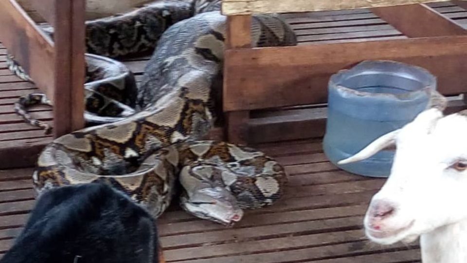 via The Star/Bomba Malaysia