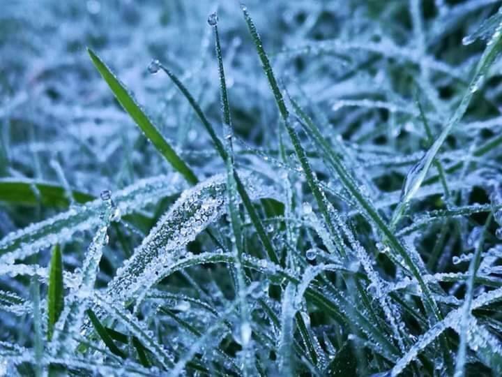 Photo: Department of National Parks, Wildlife and Plant Conservation / Facebook